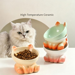 Elevated Tilted Ceramic Cat Bowl