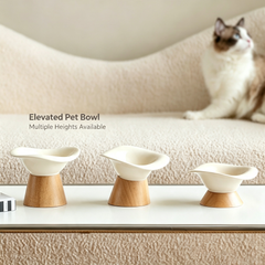 Elevated Ceramic Cat Food Bowl with Wooden Stand