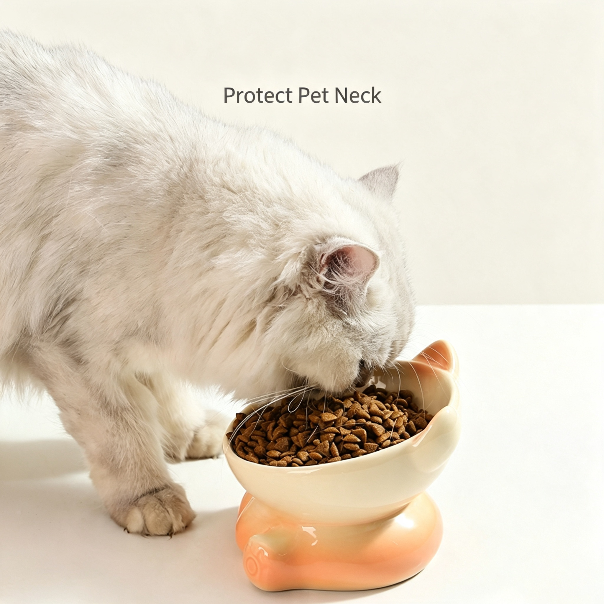 Elevated Tilted Ceramic Cat Bowl