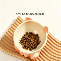 Elevated Tilted Ceramic Cat Bowl